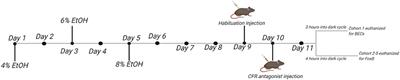 Social Housing Leads to Increased Ethanol Intake in Male Mice Housed in Environmentally Enriched Cages